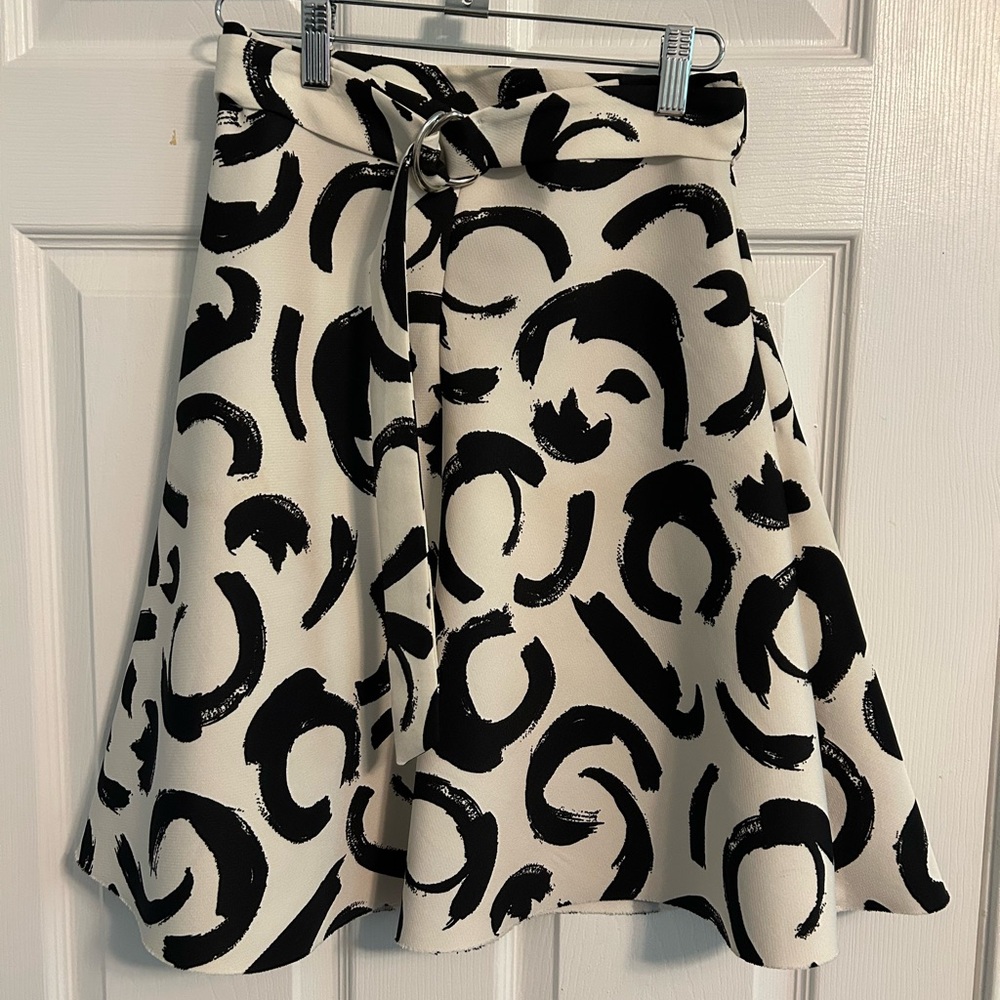 Zara Skirt